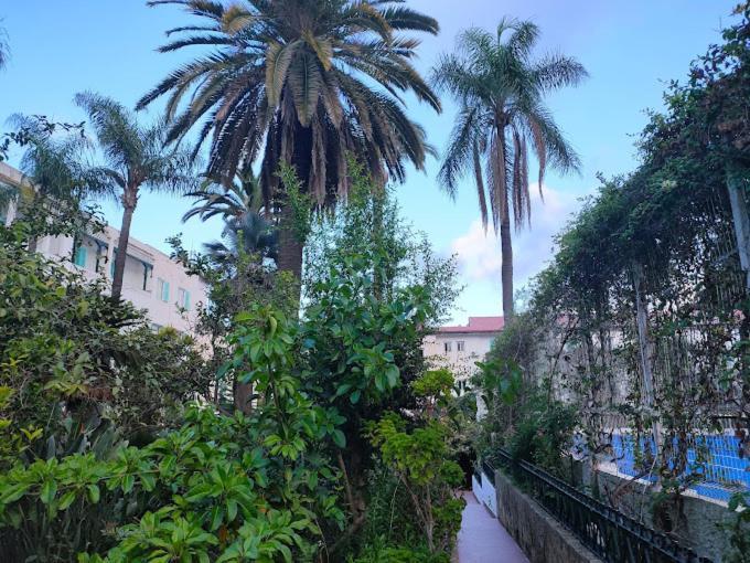 Hotel El Djazair El Mouradia Eksteriør bilde